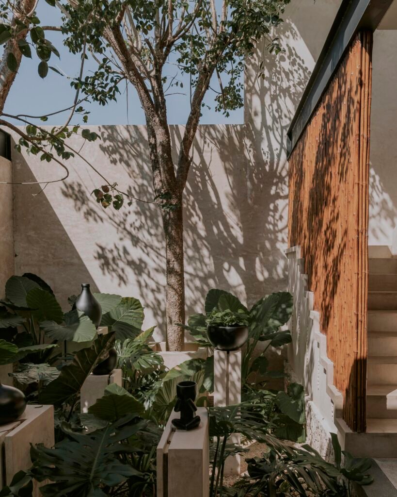 TARA_Arquitectura_Casa_Eya_Jasson_Rodriguez_AeB (14)