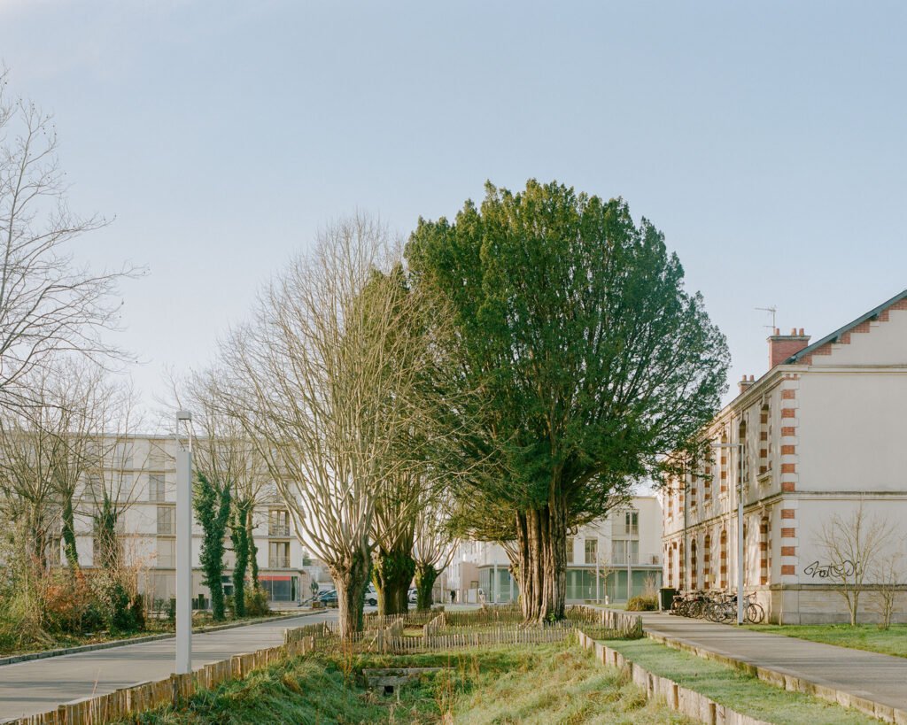 Atelier dArchitecture Ramdam + Palast &ndash; 81 Viviendas (Charles Bouchaib) (12)