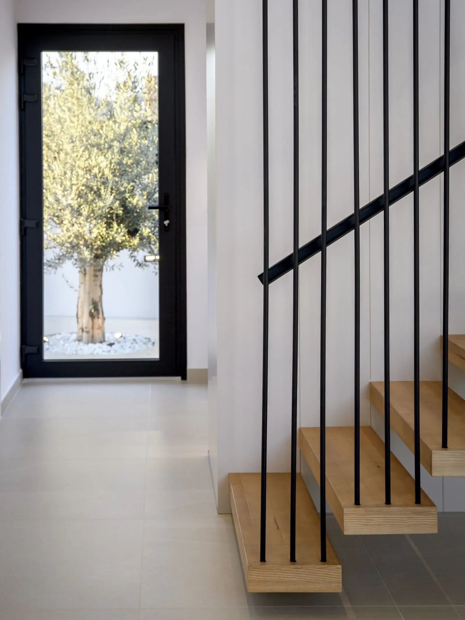 Acceso con vistas al olivo y escalera de madera y acero de Casa Olivera, de Miragall Romaguera i arquitectes associats