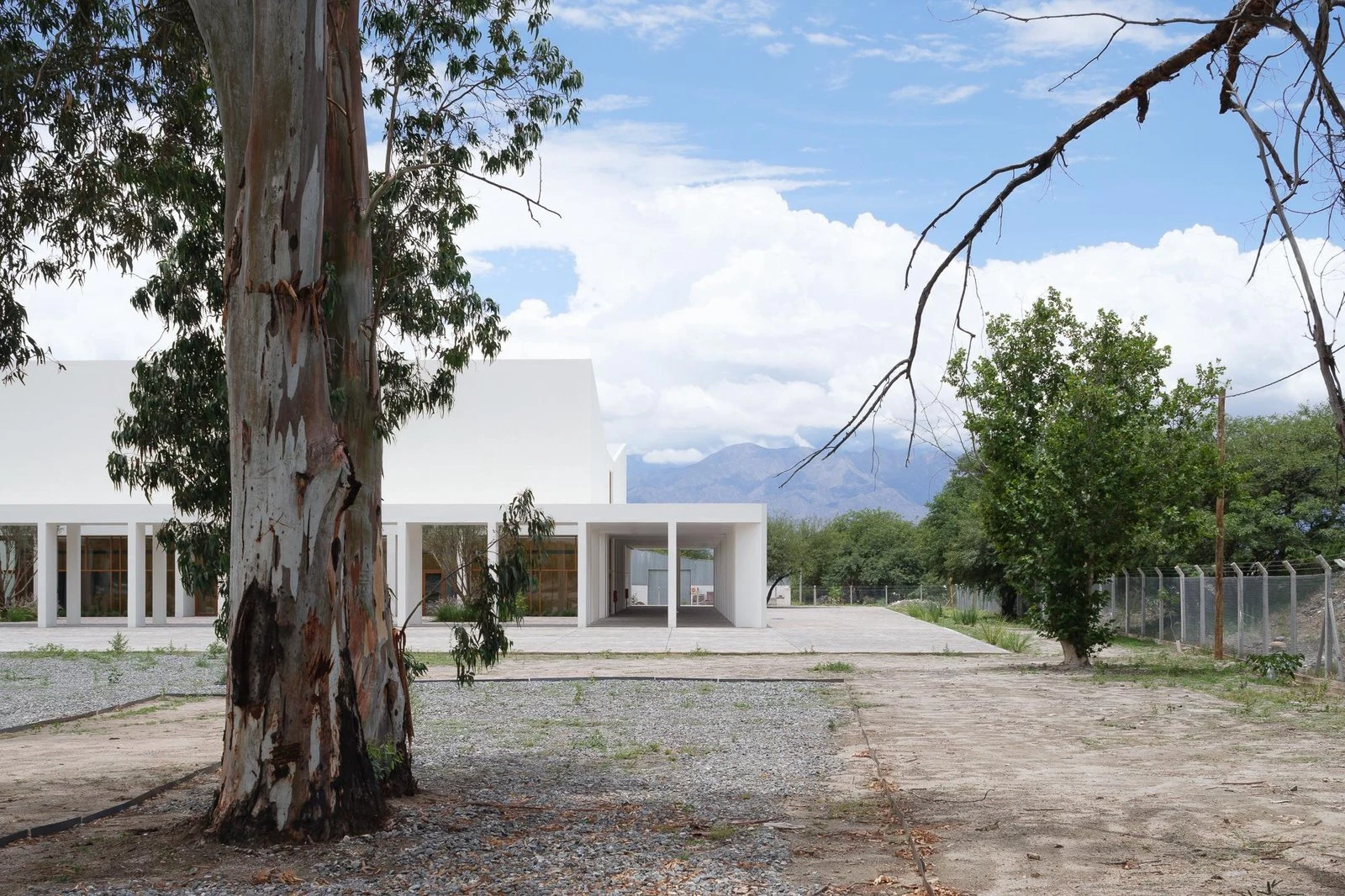 Vista del edificio integrado entre los árboles de Centro de convenciones de Cafayate, de Ignacio Carón, Fabio Estremera, Andrés Francesconi, Ezequiel Spinelli