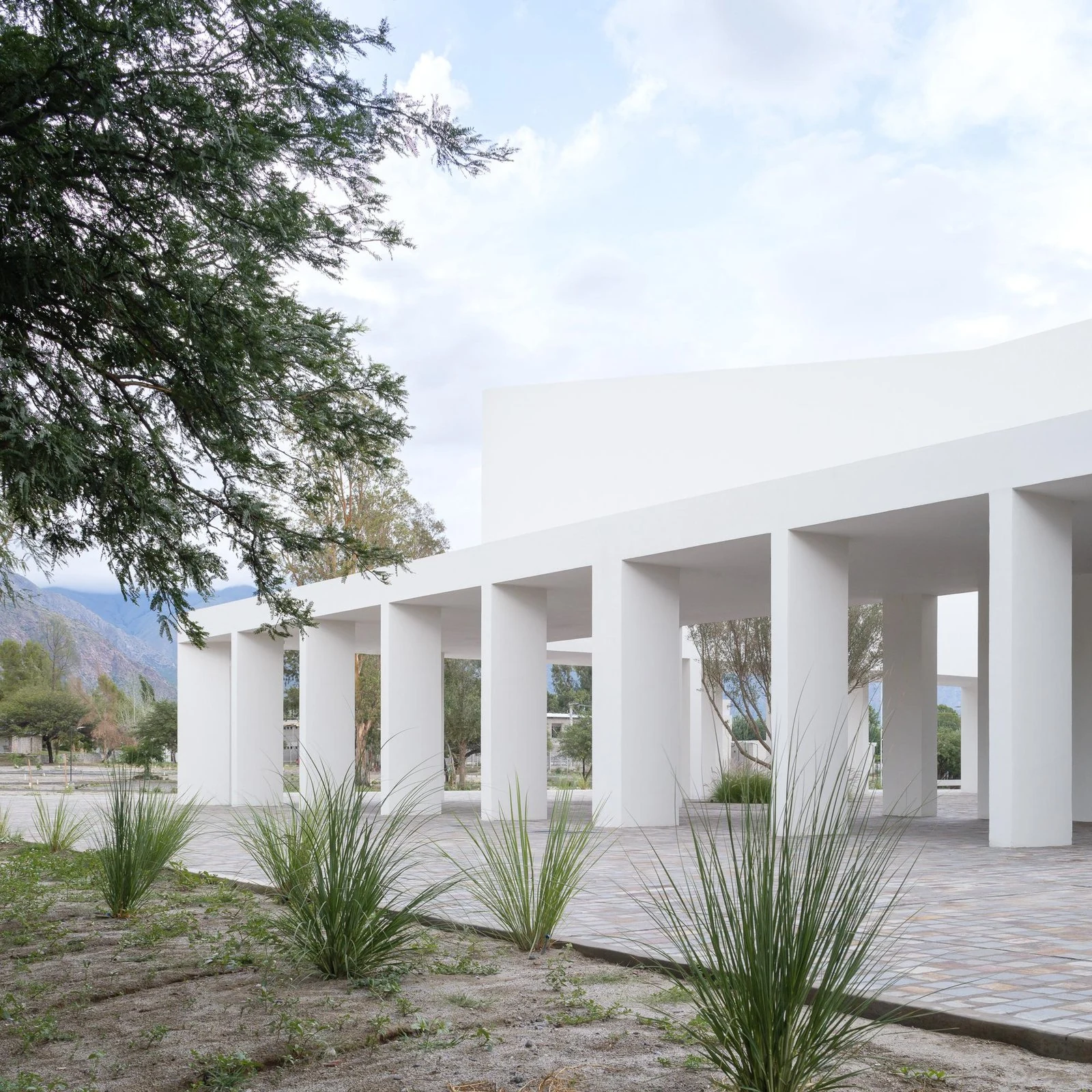 Relación entre pórtico y vegetación exterior de Centro de convenciones de Cafayate, de Ignacio Carón, Fabio Estremera, Andrés Francesconi, Ezequiel Spinelli