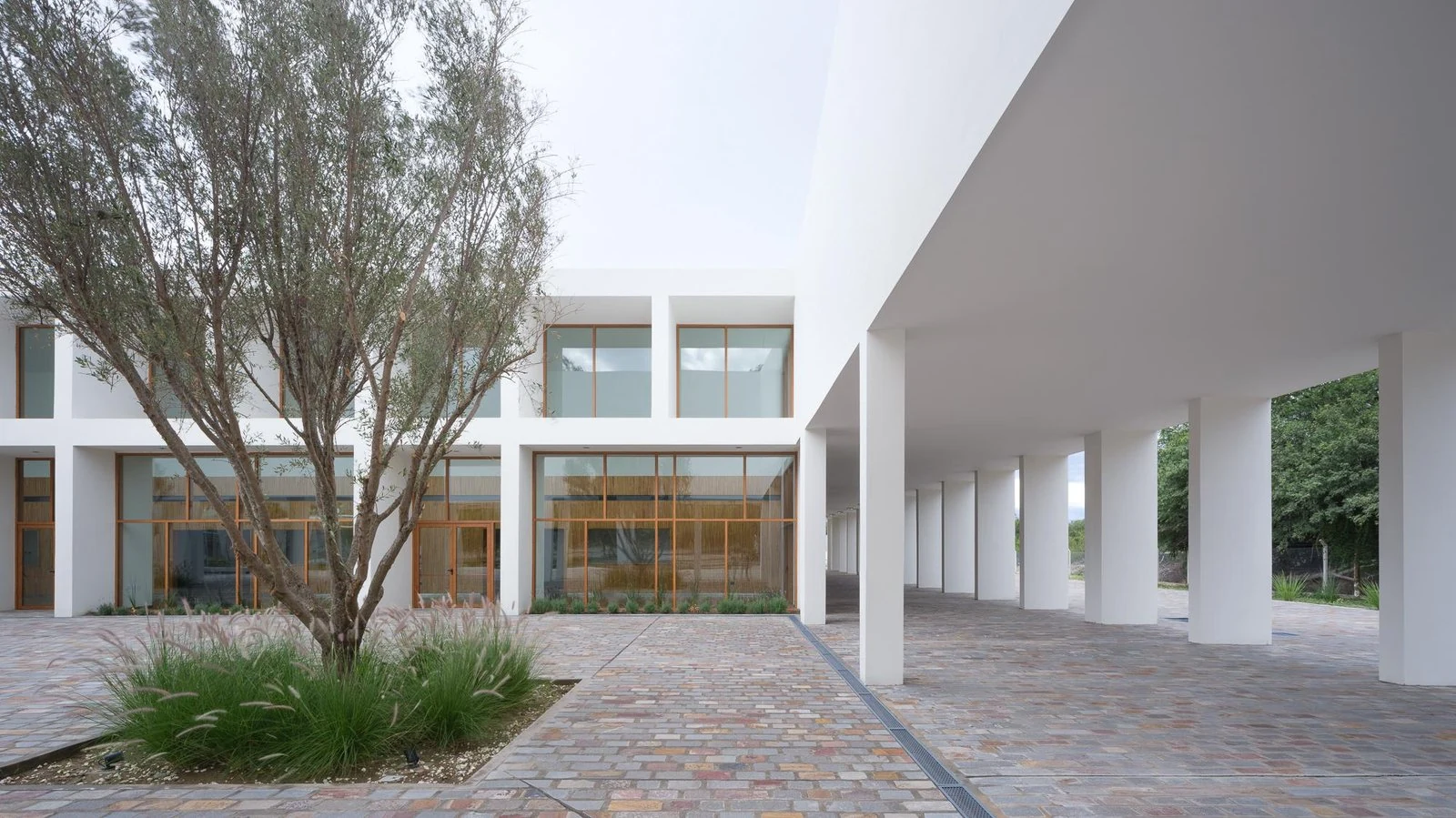 Patio con árbol central y vestíbulo acristalado de Centro de convenciones de Cafayate, de Ignacio Carón, Fabio Estremera, Andrés Francesconi, Ezequiel Spinelli