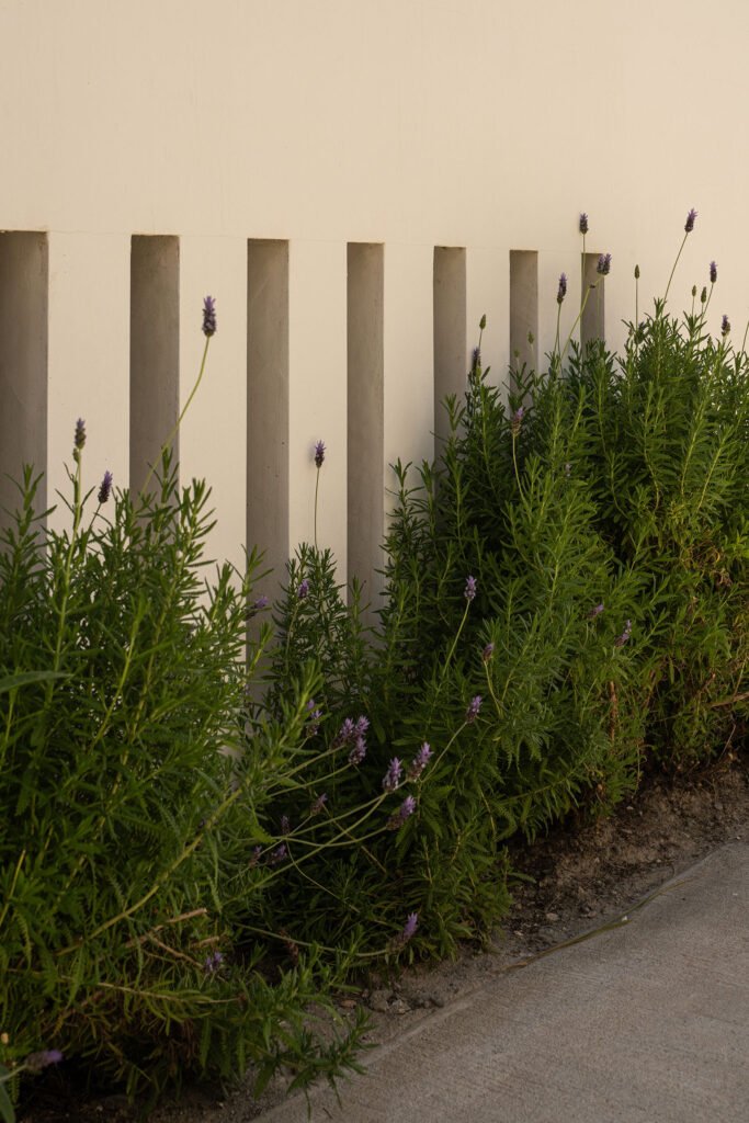 Estudio 3 Granada &ndash; Residencial Mar de Fa (28)