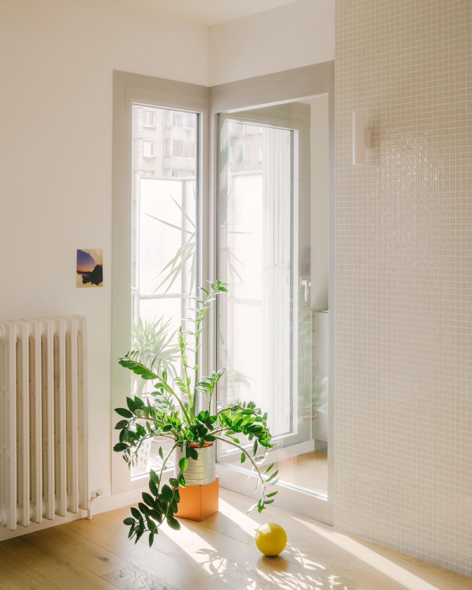 olivia-fauvelle-architecture-maxime-verret-apartment-renovation (16)